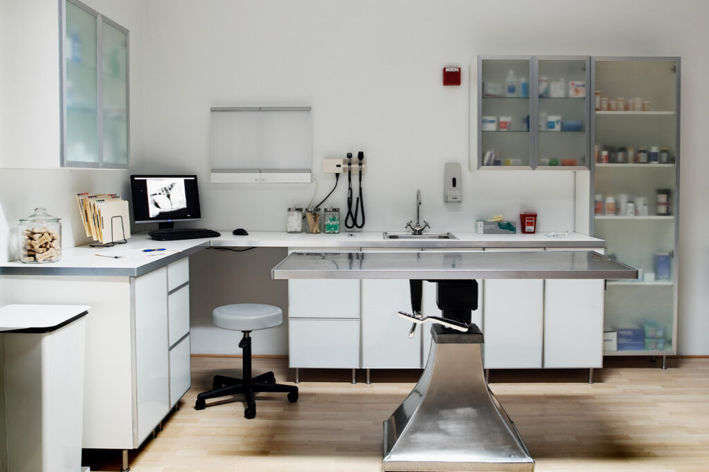 Veterinary clinic construction and remodeling Elko Winnemucca Nevada Braemar