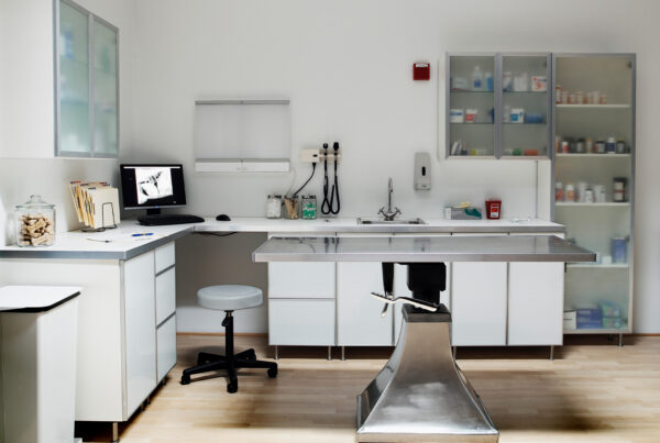 Veterinary clinic construction and remodeling Elko Winnemucca Nevada Braemar